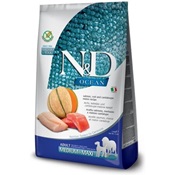 Farmina Ocean: Dry Dog - Salmon Cod & Cantaloupe (Adult Maxi)